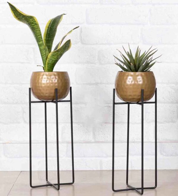 Black Metal Stand with Golden Color Metal Pot – Stylish Planter